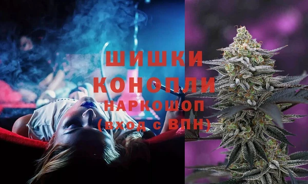 ГАЛЛЮЦИНОГЕННЫЕ ГРИБЫ Приозерск