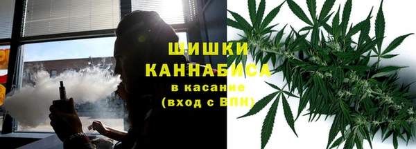 ГАЛЛЮЦИНОГЕННЫЕ ГРИБЫ Приозерск